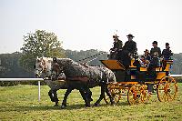 Photo n 51047&#10;La tradition aux courses du Pin au Haras. 2021 &#10;Patrice BIGET avec un Grand Break de chasse attel  une paire de Percherons
Photo Nadine TOUDIC&#10;Affiche 11 fois&#10;Ajoute le 13/10/2021 11:35:04 par Nadinetoudic&#10;&#10;--> Cliquer pour agrandir <--