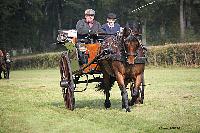 Photo n 51052&#10;La tradition aux courses du Pin au Haras. 2021 &#10;Mickal QUINCE avec une Cariole Anglaise attele  un Cob
Photo Nadine TOUDIC&#10;Affiche 8 fois&#10;Ajoute le 13/10/2021 11:47:47 par Nadinetoudic&#10;&#10;--> Cliquer pour agrandir <--