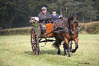 Photo n 51053&#10;La tradition aux courses du Pin au Haras. 2021 &#10;Mickal QUINCE avec une Cariole Anglaise attele  un Cob
Photo Nadine TOUDIC&#10;Affiche 12 fois&#10;Ajoute le 13/10/2021 11:47:47 par Nadinetoudic&#10;&#10;--> Cliquer pour agrandir <--