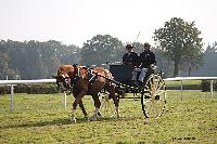 Photo n 51057&#10;La tradition aux courses du Pin au Haras. 2021 &#10;Jrme DESREZ avec un Tilbury attel  un Trotteur
Photo Nadine TOUDIC&#10;Affiche 24 fois&#10;Ajoute le 13/10/2021 11:47:47 par Nadinetoudic&#10;&#10;--> Cliquer pour agrandir <--