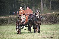 Photo n 51060&#10;La tradition aux courses du Pin au Haras. 2021 &#10;Sabine CHEENNE avec un Rallye-car 2 roues attel  un Poney Franais de selle
Photo Nadine TOUDIC&#10;Affiche 6 fois&#10;Ajoute le 13/10/2021 11:59:05 par Nadinetoudic&#10;&#10;--> Cliquer pour agrandir <--