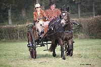 Photo n 51061&#10;La tradition aux courses du Pin au Haras. 2021 &#10;Sabine CHEENNE avec un Rallye-car 2 roues attel  un Poney Franais de selle
Photo Nadine TOUDIC&#10;Affiche 19 fois&#10;Ajoute le 13/10/2021 11:59:06 par Nadinetoudic&#10;&#10;--> Cliquer pour agrandir <--