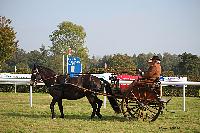 Photo n 51066&#10;La tradition aux courses du Pin au Haras. 2021 &#10;Sabine CHEENNE avec un Rallye-car 2 roues attel  un Poney Franais de selle
Photo Nadine TOUDIC&#10;Affiche 11 fois&#10;Ajoute le 13/10/2021 11:59:06 par Nadinetoudic&#10;&#10;--> Cliquer pour agrandir <--