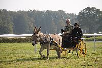 Photo n° 51068
La tradition aux courses du Pin au Haras. 2021 
Bruno GIRARD avec un Road-car attelé à un Ane du cotentin
Photo Nadine TOUDIC
Affichée 11 fois
Ajoutée le 13/10/2021 11:59:06 par Nadinetoudic

--> Cliquer pour agrandir <--