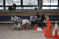 Photo n 51116&#10;INDOOR DEAUVILLE 2022&#10;Pnlope BROOKE
Photo Nadine TOUDIC&#10;Affiche 6 fois&#10;Ajoute le 15/03/2022 20:32:10 par Nadinetoudic&#10;&#10;--> Cliquer pour agrandir <--