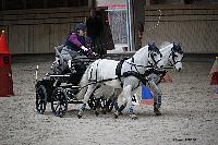 Photo n 51118&#10;INDOOR DEAUVILLE 2022&#10;Pnlope BROOKE
Photo Nadine TOUDIC&#10;Affiche 12 fois&#10;Ajoute le 15/03/2022 20:32:10 par Nadinetoudic&#10;&#10;--> Cliquer pour agrandir <--