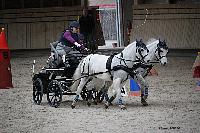 Photo n° 51118
INDOOR DEAUVILLE 2022
Pénélope BROOKE
Photo Nadine TOUDIC
Affichée 6 fois
Ajoutée le 15/03/2022 20:32:10 par Nadinetoudic

--> Cliquer pour agrandir <--