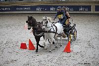 Photo n 51121&#10;INDOOR DEAUVILLE 2022&#10;Christophe DUCLOS
Photo Nadine TOUDIC&#10;Affiche 13 fois&#10;Ajoute le 15/03/2022 20:32:11 par Nadinetoudic&#10;&#10;--> Cliquer pour agrandir <--