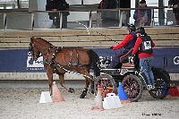 Photo n° 51129
INDOOR DEAUVILLE 2022
Thierry GOUPIL
Photo Nadine TOUDIC
Affichée 7 fois
Ajoutée le 15/03/2022 20:48:40 par Nadinetoudic

--> Cliquer pour agrandir <--