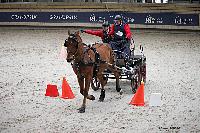 Photo n 51130&#10;INDOOR DEAUVILLE 2022&#10;Thierry GOUPIL
Photo Nadine TOUDIC&#10;Affiche 10 fois&#10;Ajoute le 15/03/2022 20:48:40 par Nadinetoudic&#10;&#10;--> Cliquer pour agrandir <--