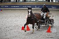 Photo n 51138&#10;INDOOR DEAUVILLE 2022&#10;Eric BLONDIAUX
Photo Nadine TOUDIC&#10;Affiche 10 fois&#10;Ajoute le 15/03/2022 20:48:40 par Nadinetoudic&#10;&#10;--> Cliquer pour agrandir <--