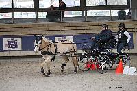 Photo n° 51140
INDOOR DEAUVILLE 2022
Clément RIQUIER
Photo Nadine TOUDIC
Affichée 4 fois
Ajoutée le 15/03/2022 20:48:40 par Nadinetoudic

--> Cliquer pour agrandir <--