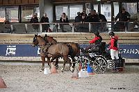 Photo n 51149&#10;INDOOR DEAUVILLE 2022&#10;Catherine RECHER
Photo Nadine TOUDIC&#10;Affiche 14 fois&#10;Ajoute le 16/03/2022 12:25:42 par Nadinetoudic&#10;&#10;--> Cliquer pour agrandir <--