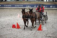 Photo n 51150&#10;INDOOR DEAUVILLE 2022&#10;Catherine RECHER
Photo Nadine TOUDIC&#10;Affiche 16 fois&#10;Ajoute le 16/03/2022 12:25:42 par Nadinetoudic&#10;&#10;--> Cliquer pour agrandir <--