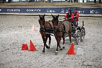 Photo n° 51150
INDOOR DEAUVILLE 2022
Catherine RECHER
Photo Nadine TOUDIC
Affichée 12 fois
Ajoutée le 16/03/2022 12:25:42 par Nadinetoudic

--> Cliquer pour agrandir <--