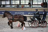 Photo n 51152&#10;INDOOR DEAUVILLE 2022&#10;Pierre BERDIN
Photo Nadine TOUDIC&#10;Affiche 11 fois&#10;Ajoute le 16/03/2022 12:25:42 par Nadinetoudic&#10;&#10;--> Cliquer pour agrandir <--
