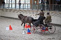 Photo n 51163&#10;INDOOR DEAUVILLE 2022&#10;Sabine MIOSSEC de LARRARD
Photo Nadine TOUDIC&#10;Affiche 4 fois&#10;Ajoute le 16/03/2022 12:35:21 par Nadinetoudic&#10;&#10;--> Cliquer pour agrandir <--