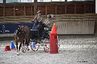 Photo n 51166&#10;INDOOR DEAUVILLE 2022&#10;Sabine MIOSSEC de LARRARD
Photo Nadine TOUDIC&#10;Affiche 8 fois&#10;Ajoute le 16/03/2022 12:35:21 par Nadinetoudic&#10;&#10;--> Cliquer pour agrandir <--