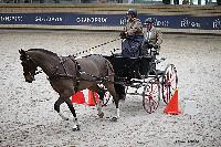Photo n 51167&#10;INDOOR DEAUVILLE 2022&#10;Sabine MIOSSEC de LARRARD
Photo Nadine TOUDIC&#10;Affiche 11 fois&#10;Ajoute le 16/03/2022 12:35:21 par Nadinetoudic&#10;&#10;--> Cliquer pour agrandir <--