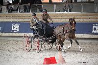 Photo n 51169&#10;INDOOR DEAUVILLE 2022&#10;Sabine MIOSSEC de LARRARD
Photo Nadine TOUDIC&#10;Affiche 8 fois&#10;Ajoute le 16/03/2022 12:35:21 par Nadinetoudic&#10;&#10;--> Cliquer pour agrandir <--