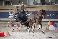 Photo n 51170&#10;INDOOR DEAUVILLE 2022&#10;Sabine MIOSSEC de LARRARD
Photo Nadine TOUDIC&#10;Affiche 17 fois&#10;Ajoute le 16/03/2022 12:35:21 par Nadinetoudic&#10;&#10;--> Cliquer pour agrandir <--