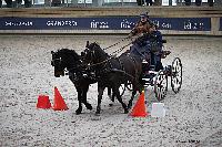 Photo n 51174&#10;INDOOR DEAUVILLE 2022&#10;Marc MENET
Photo Nadine TOUDIC&#10;Affiche 17 fois&#10;Ajoute le 16/03/2022 12:35:22 par Nadinetoudic&#10;&#10;--> Cliquer pour agrandir <--