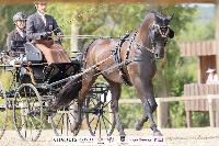 Photo n 51373&#10;CHABLIS 2022 photo Mlanie Guillamot MGPYLive&#10;&#10;Affiche 15 fois&#10;Ajoute le 05/08/2022 08:13:33 par JeanClaudeGrognet&#10;&#10;--> Cliquer pour agrandir <--