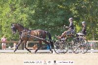 Photo n 51374&#10;CHABLIS 2022 photo Mlanie Guillamot MGPYLive&#10;&#10;Affiche 14 fois&#10;Ajoute le 05/08/2022 08:13:33 par JeanClaudeGrognet&#10;&#10;--> Cliquer pour agrandir <--