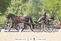 Photo n 51375&#10;CHABLIS 2022 photo Mlanie Guillamot MGPYLive&#10;&#10;Affiche 10 fois&#10;Ajoute le 05/08/2022 08:13:33 par JeanClaudeGrognet&#10;&#10;--> Cliquer pour agrandir <--