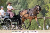 Photo n 51376&#10;CHABLIS 2022 photo Mlanie Guillamot MGPYLive&#10;&#10;Affiche 16 fois&#10;Ajoute le 05/08/2022 08:13:33 par JeanClaudeGrognet&#10;&#10;--> Cliquer pour agrandir <--