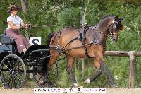 Photo n 51377&#10;CHABLIS 2022 photo Mlanie Guillamot MGPYLive&#10;&#10;Affiche 18 fois&#10;Ajoute le 05/08/2022 08:13:33 par JeanClaudeGrognet&#10;&#10;--> Cliquer pour agrandir <--
