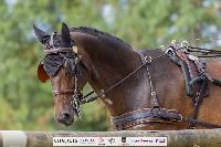 Photo n 51378&#10;CHABLIS 2022 photo Mlanie Guillamot MGPYLive&#10;&#10;Affiche 16 fois&#10;Ajoute le 05/08/2022 08:13:34 par JeanClaudeGrognet&#10;&#10;--> Cliquer pour agrandir <--