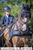 Photo n 51383&#10;CAI CHABLIS 2022 photo Mlanie Guillamot&#10;&#10;Affiche 11 fois&#10;Ajoute le 10/08/2022 08:18:04 par JeanClaudeGrognet&#10;&#10;--> Cliquer pour agrandir <--
