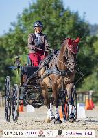 Photo n 51397&#10;CAI CHABLIS 2022 photo Mlanie Guillamot&#10;&#10;Affiche 13 fois&#10;Ajoute le 10/08/2022 08:18:06 par JeanClaudeGrognet&#10;&#10;--> Cliquer pour agrandir <--
