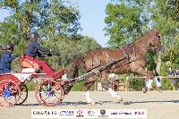Photo n 51400&#10;CAI CHABLIS 2022 photo Mlanie Guillamot&#10;&#10;Affiche 19 fois&#10;Ajoute le 10/08/2022 08:18:06 par JeanClaudeGrognet&#10;&#10;--> Cliquer pour agrandir <--