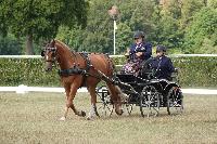 Photo n 51411&#10;COMPIEGNE par PIXEL VISUEL&#10;&#10;Affiche 4 fois&#10;Ajoute le 30/08/2022 11:53:38 par JeanClaudeGrognet&#10;&#10;--> Cliquer pour agrandir <--