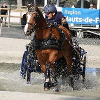 Photo n 51413&#10;COMPIEGNE par PIXEL VISUEL&#10;&#10;Affiche 5 fois&#10;Ajoute le 30/08/2022 11:53:38 par JeanClaudeGrognet&#10;&#10;--> Cliquer pour agrandir <--