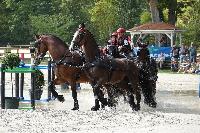 Photo n 51417&#10;COMPIEGNE par PIXEL VISUEL&#10;&#10;Affiche 8 fois&#10;Ajoute le 30/08/2022 11:53:39 par JeanClaudeGrognet&#10;&#10;--> Cliquer pour agrandir <--