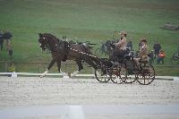 Photo n 51471&#10;Le PIN CdM solo photo PIXELVISUEL &#10;Dressage&#10;Affiche 19 fois&#10;Ajoute le 15/09/2022 19:45:22 par JeanClaudeGrognet&#10;&#10;--> Cliquer pour agrandir <--