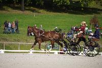 Photo n 51473&#10;Le PIN CdM solo photo PIXELVISUEL &#10;Dressage&#10;Affiche 24 fois&#10;Ajoute le 15/09/2022 19:45:22 par JeanClaudeGrognet&#10;&#10;--> Cliquer pour agrandir <--