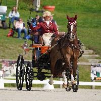 Photo n 51474&#10;Le PIN CdM solo photo PIXELVISUEL &#10;Dressage&#10;Affiche 28 fois&#10;Ajoute le 15/09/2022 19:45:23 par JeanClaudeGrognet&#10;&#10;--> Cliquer pour agrandir <--