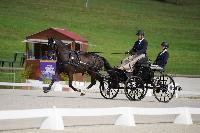 Photo n 51475&#10;Le PIN CdM solo photo PIXELVISUEL &#10;Dressage&#10;Affiche 21 fois&#10;Ajoute le 15/09/2022 19:45:23 par JeanClaudeGrognet&#10;&#10;--> Cliquer pour agrandir <--