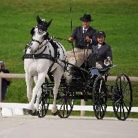 Photo n 51476&#10;Le PIN CdM solo photo PIXELVISUEL &#10;Dressage&#10;Affiche 21 fois&#10;Ajoute le 15/09/2022 19:45:23 par JeanClaudeGrognet&#10;&#10;--> Cliquer pour agrandir <--