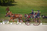 Photo n 51477&#10;Le PIN CdM solo photo PIXELVISUEL &#10;Dressage&#10;Affiche 21 fois&#10;Ajoute le 15/09/2022 19:45:23 par JeanClaudeGrognet&#10;&#10;--> Cliquer pour agrandir <--