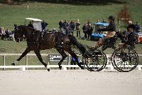 Photo n 51480&#10;Le PIN CdM solo photo PIXELVISUEL &#10;Dressage&#10;Affiche 14 fois&#10;Ajoute le 18/09/2022 08:42:10 par JeanClaudeGrognet&#10;&#10;--> Cliquer pour agrandir <--