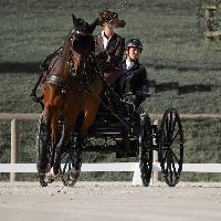 Photo n 51481&#10;Le PIN CdM solo photo PIXELVISUEL &#10;Dressage Marion Vignaud&#10;Affiche 17 fois&#10;Ajoute le 18/09/2022 08:42:10 par JeanClaudeGrognet&#10;&#10;--> Cliquer pour agrandir <--