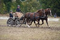 Photo n 51488&#10;VERDILLE CdF Trait photo PIXEL VISUEL&#10;&#10;Affiche 14 fois&#10;Ajoute le 27/09/2022 16:58:15 par JeanClaudeGrognet&#10;&#10;--> Cliquer pour agrandir <--