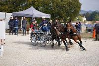 Photo n 51490&#10;VERDILLE CdF Trait photo PIXEL VISUEL&#10;&#10;Affiche 19 fois&#10;Ajoute le 27/09/2022 16:58:15 par JeanClaudeGrognet&#10;&#10;--> Cliquer pour agrandir <--