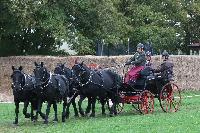 Photo n 51500&#10;LIGNIERES CdF 2022 photo PIXELVISUEL&#10;&#10;Affiche 18 fois&#10;Ajoute le 15/10/2022 18:14:30 par JeanClaudeGrognet&#10;&#10;--> Cliquer pour agrandir <--