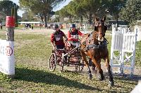Photo n 51540&#10;Uzs Printemps de l"Attelage 2023 &#10;photo PixelVisuel&#10;Affiche 16 fois&#10;Ajoute le 07/03/2023 18:30:22 par JeanClaudeGrognet&#10;&#10;--> Cliquer pour agrandir <--